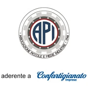 Logo A.P.I. ASSOCIAZIONE PICCOLE E MEDIE INDUSTRIE